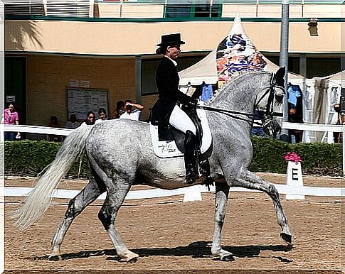 Horsemanship