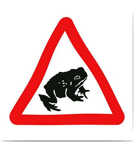 A frog warning notice.