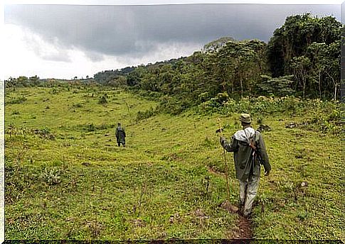 Guards at Virunga National Park