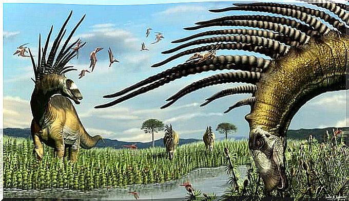 Dinosaur remains with giant thorns have been discovered