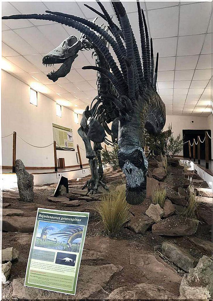 Características gerais dos dinossauros com espinhos