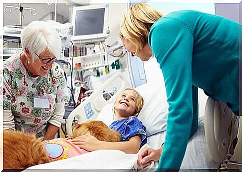 dog with child patient in a hospital