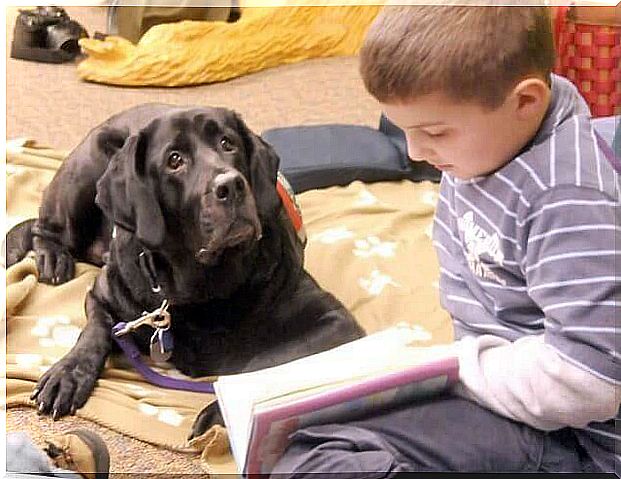 Dogs facilitate children's learning