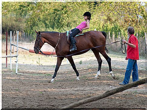 Hippotherapy