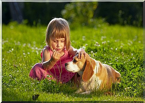 The influence of dogs on autistic children