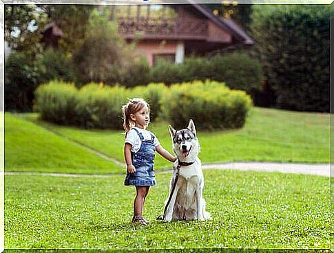 small girl with dog