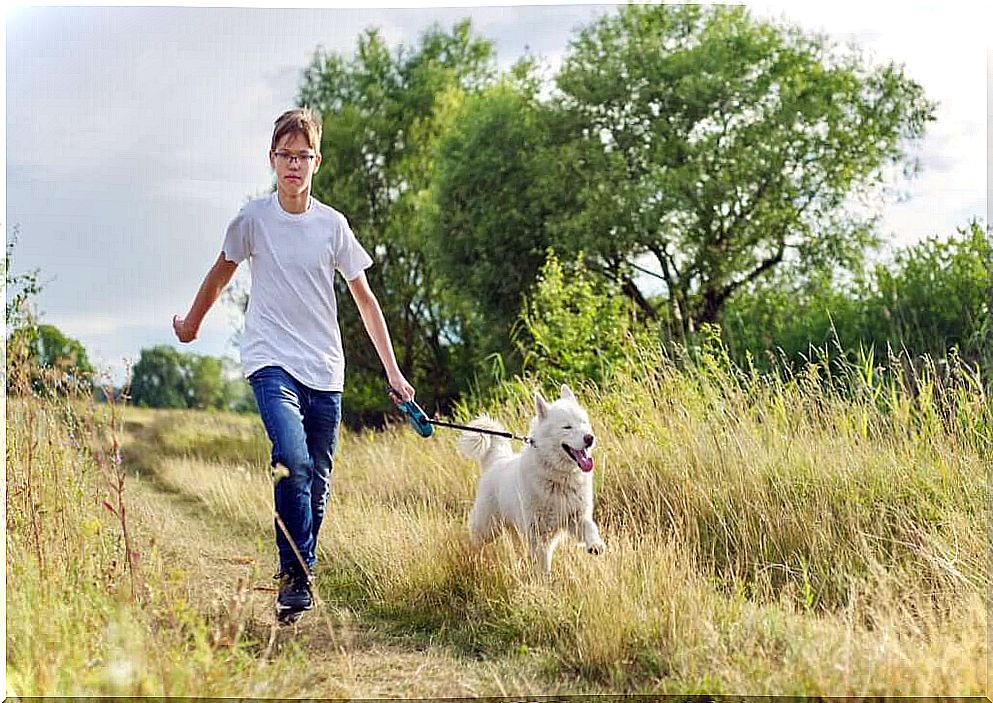 In Germany, it will be mandatory to walk the dogs twice a day