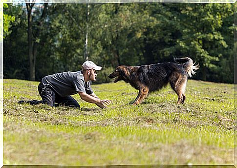 how to play with your dog