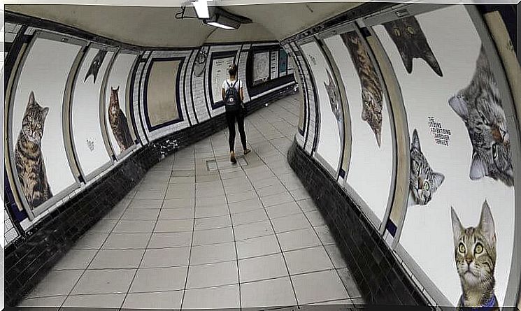 metro-de-london-768x432