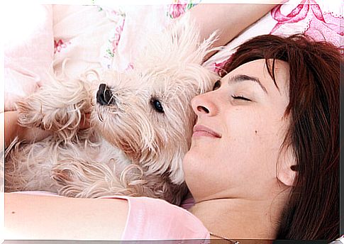 Pros and Cons of Sleeping with Pets