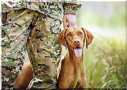 soldier with dog