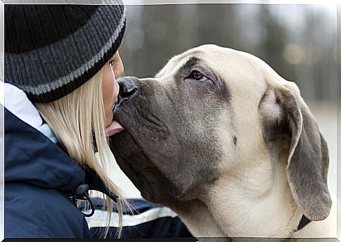 The reaction of a dog that hasn't seen its owner for three days