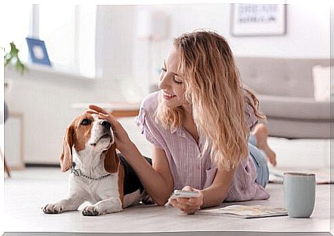 woman petting dog