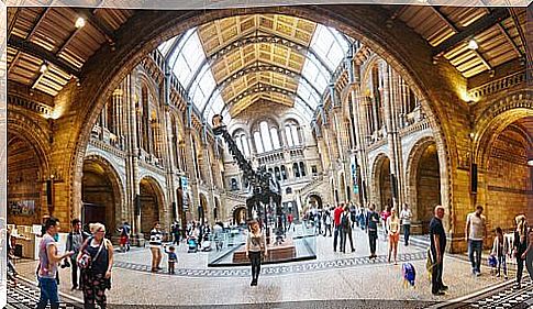 Top 5 Natural History Museums