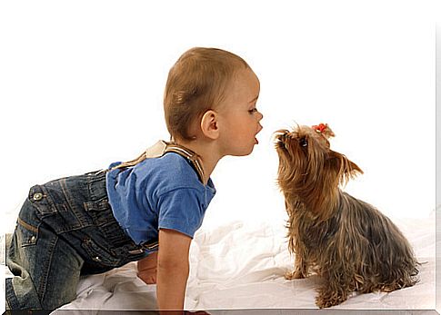 baby and dog