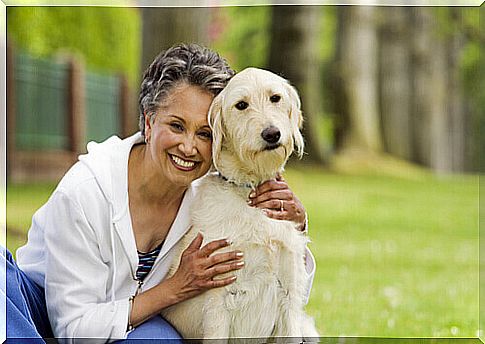 What dog to adopt for an elderly person