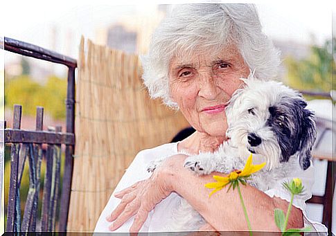 dog with old woman